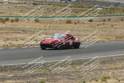 media/May-03-2025-Lucky Dog Racing (Sat) [[206de64b9d]]/Turn 6 (150pm-230pm)/